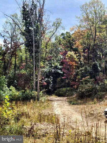 LOT 2 GALLOWAY SPRING LN, STANLEY, Virginia 22851, ,Land,For Sale,LOT 2 GALLOWAY SPRING LN,VAPA2005608 MLS # VAPA2005608