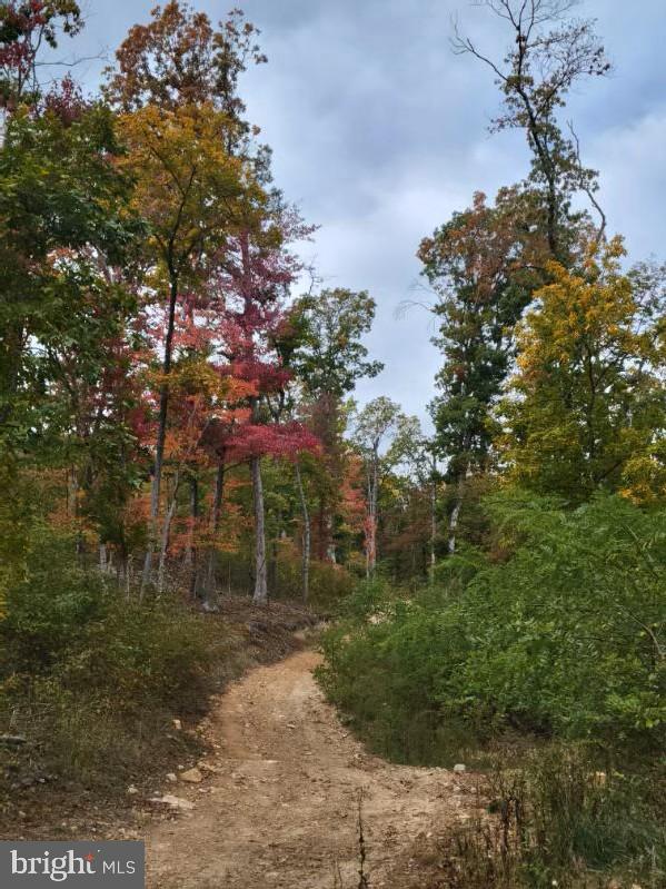 LOT 2 GALLOWAY SPRING LN, STANLEY, Virginia 22851, ,Land,For Sale,LOT 2 GALLOWAY SPRING LN,VAPA2005608 MLS # VAPA2005608