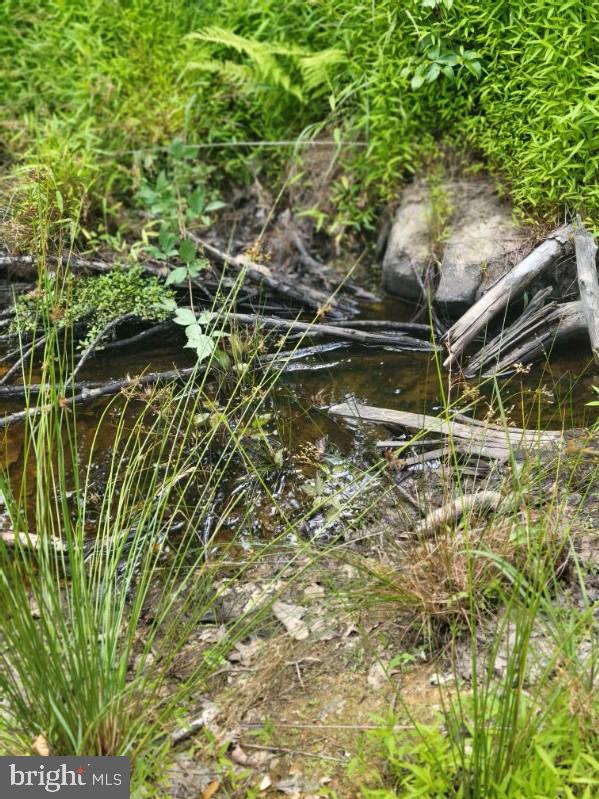 LOT 2 GALLOWAY SPRING LN, STANLEY, Virginia 22851, ,Land,For Sale,LOT 2 GALLOWAY SPRING LN,VAPA2005608 MLS # VAPA2005608