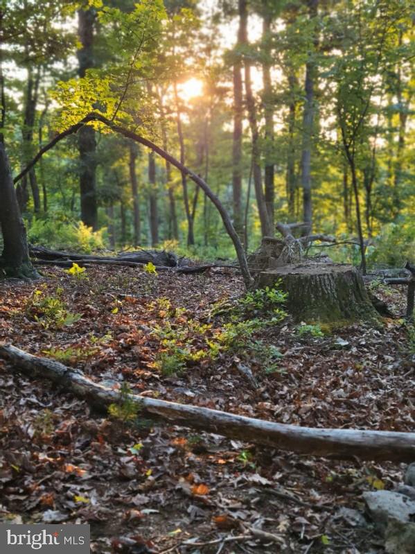 LOT 2 GALLOWAY SPRING LN, STANLEY, Virginia 22851, ,Land,For Sale,LOT 2 GALLOWAY SPRING LN,VAPA2005608 MLS # VAPA2005608