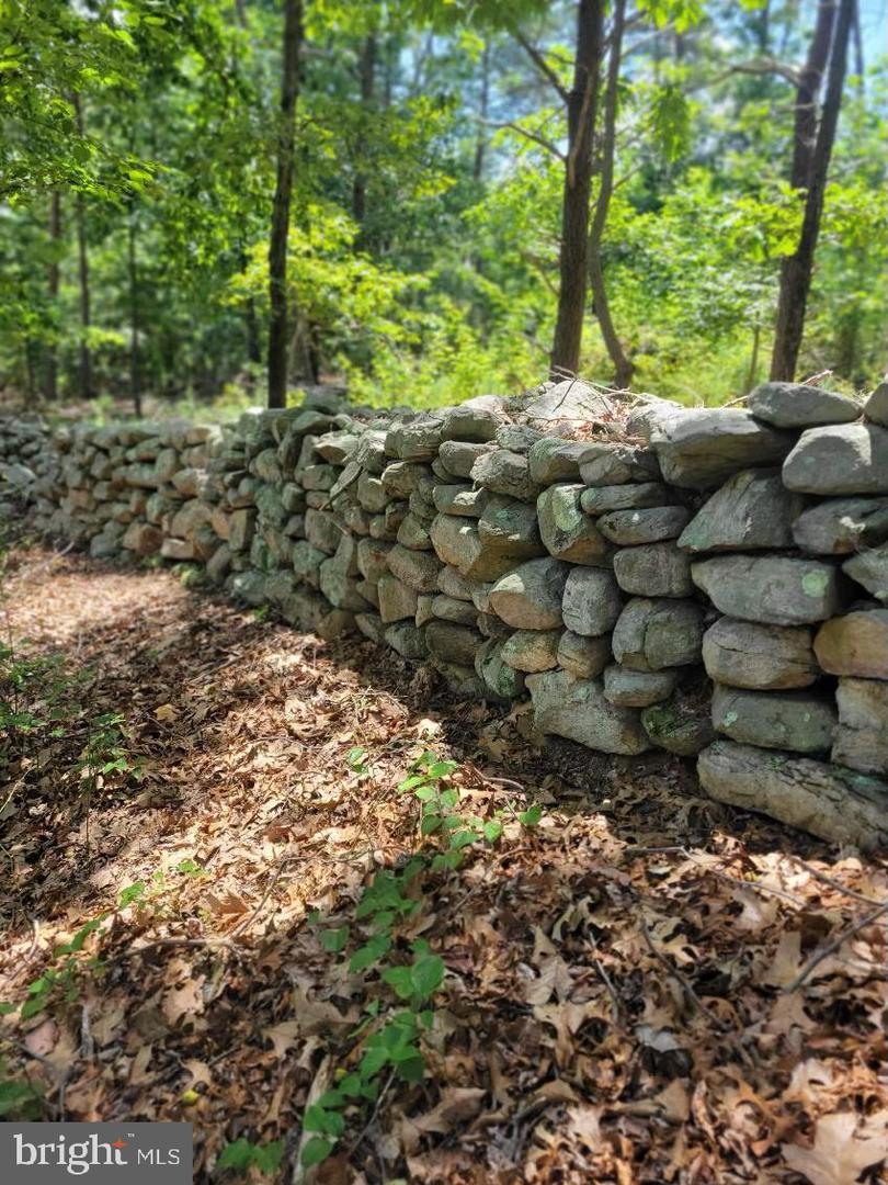 LOT 2 GALLOWAY SPRING LN, STANLEY, Virginia 22851, ,Land,For Sale,LOT 2 GALLOWAY SPRING LN,VAPA2005608 MLS # VAPA2005608