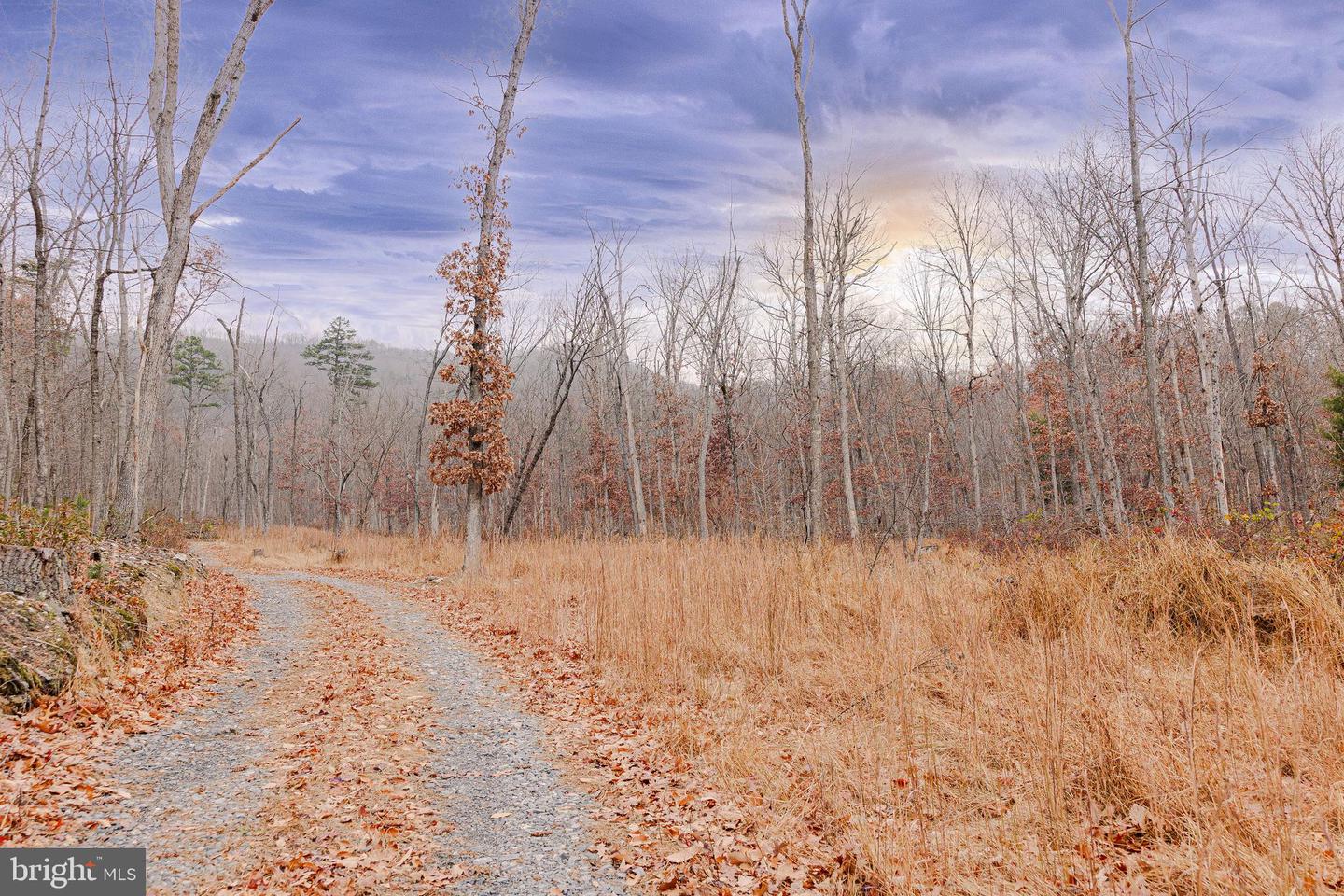 LOT 2 GALLOWAY SPRING LN, STANLEY, Virginia 22851, ,Land,For Sale,LOT 2 GALLOWAY SPRING LN,VAPA2005608 MLS # VAPA2005608