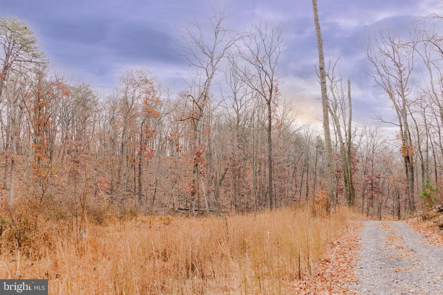 LOT 2 GALLOWAY SPRING LN, STANLEY, Virginia 22851, ,Land,For Sale,LOT 2 GALLOWAY SPRING LN,VAPA2005608 MLS # VAPA2005608