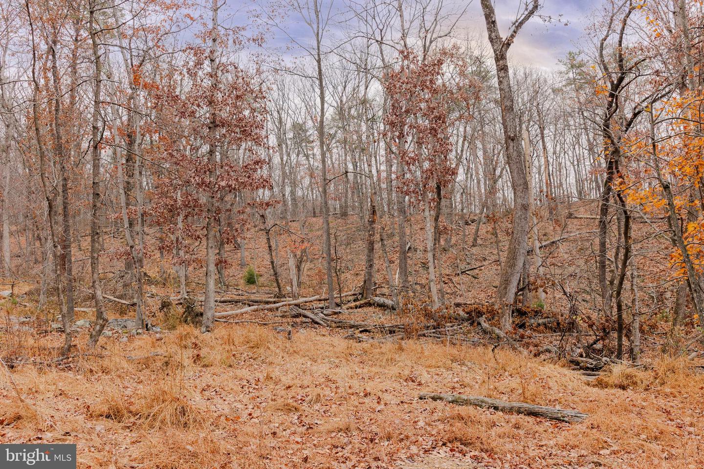 LOT 2 GALLOWAY SPRING LN, STANLEY, Virginia 22851, ,Land,For Sale,LOT 2 GALLOWAY SPRING LN,VAPA2005608 MLS # VAPA2005608