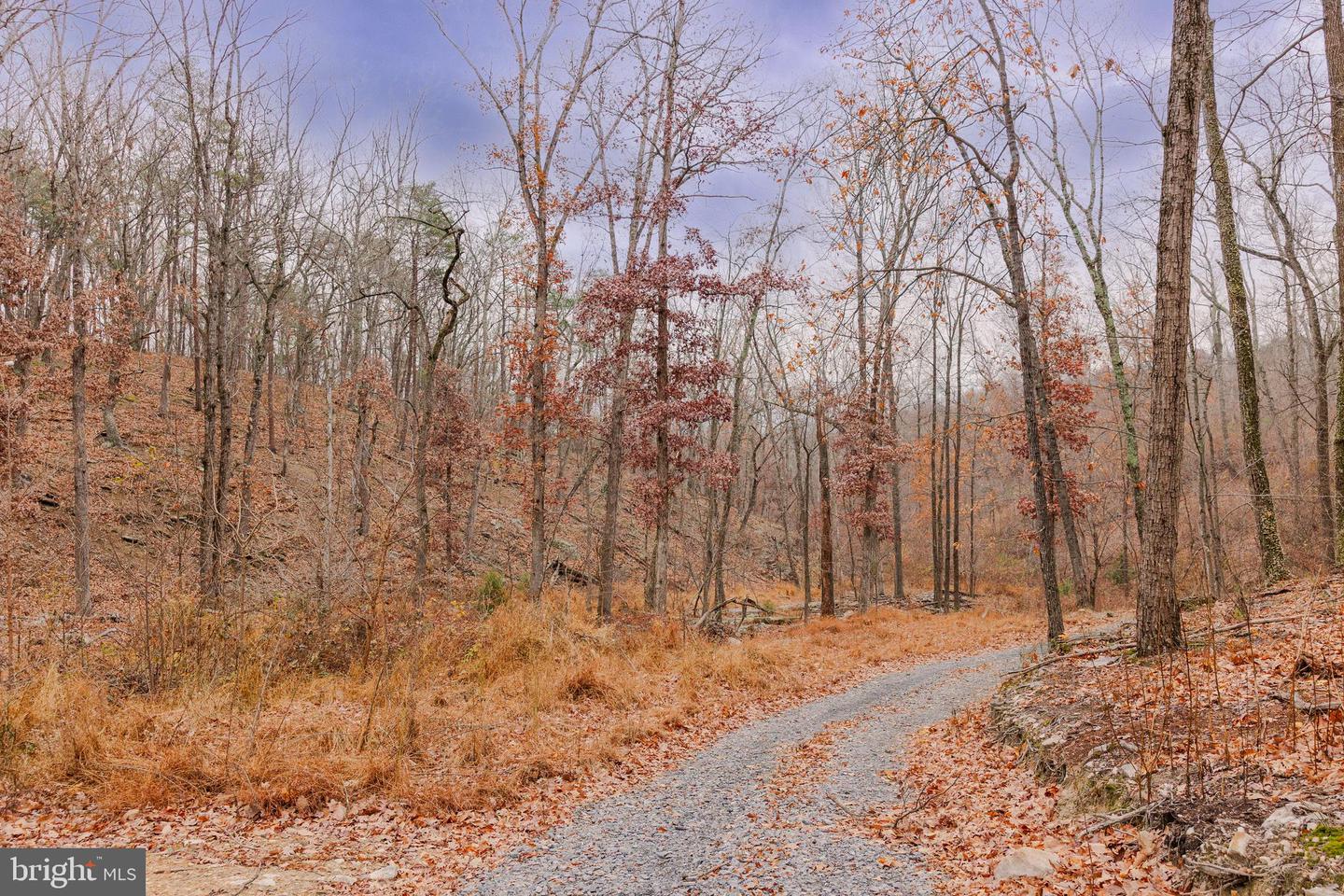 LOT 2 GALLOWAY SPRING LN, STANLEY, Virginia 22851, ,Land,For Sale,LOT 2 GALLOWAY SPRING LN,VAPA2005608 MLS # VAPA2005608