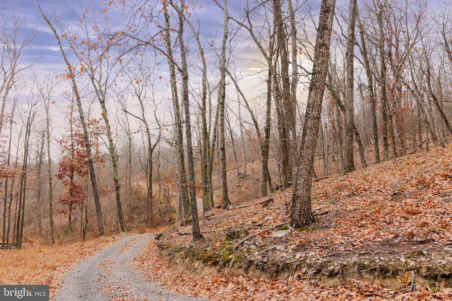 LOT 2 GALLOWAY SPRING LN, STANLEY, Virginia 22851, ,Land,For Sale,LOT 2 GALLOWAY SPRING LN,VAPA2005608 MLS # VAPA2005608