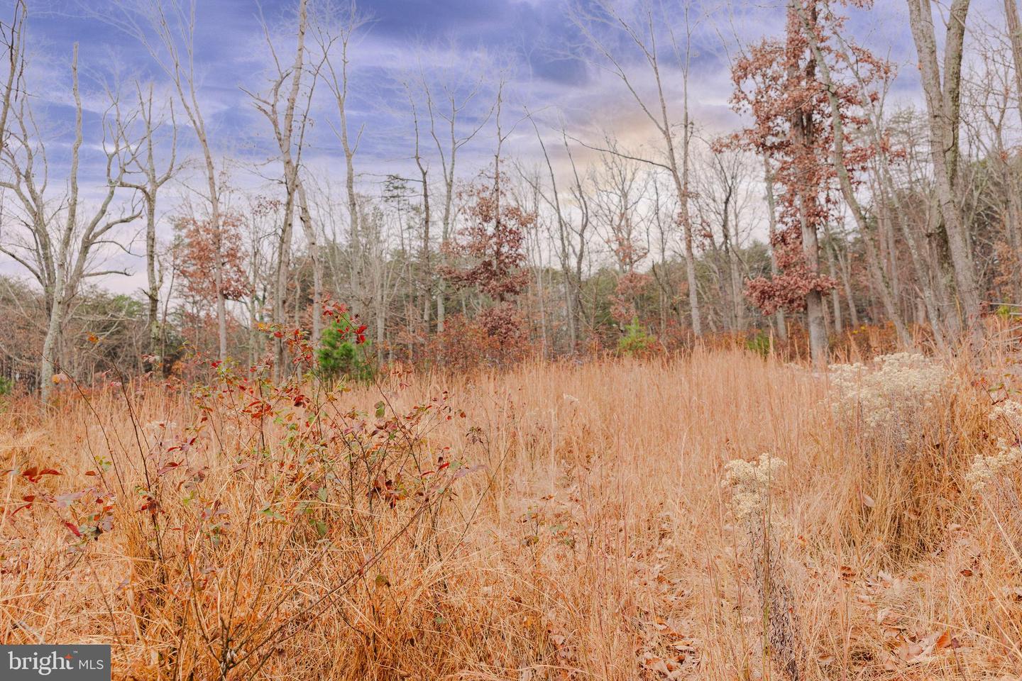 LOT 2 GALLOWAY SPRING LN, STANLEY, Virginia 22851, ,Land,For Sale,LOT 2 GALLOWAY SPRING LN,VAPA2005608 MLS # VAPA2005608