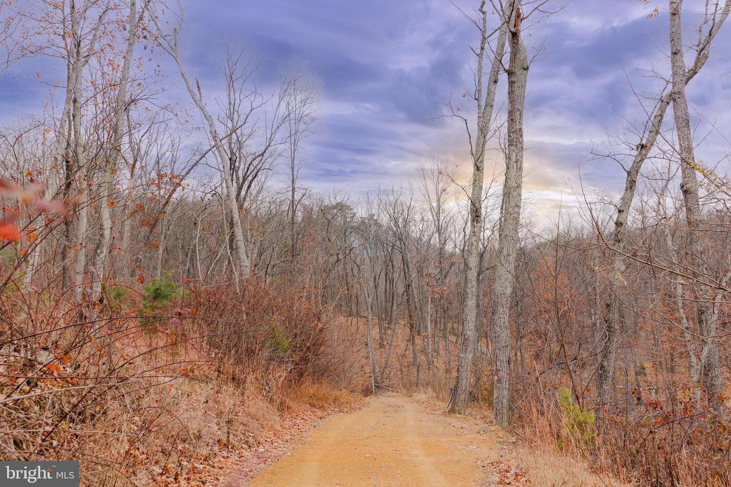 LOT 2 GALLOWAY SPRING LN, STANLEY, Virginia 22851, ,Land,For Sale,LOT 2 GALLOWAY SPRING LN,VAPA2005608 MLS # VAPA2005608