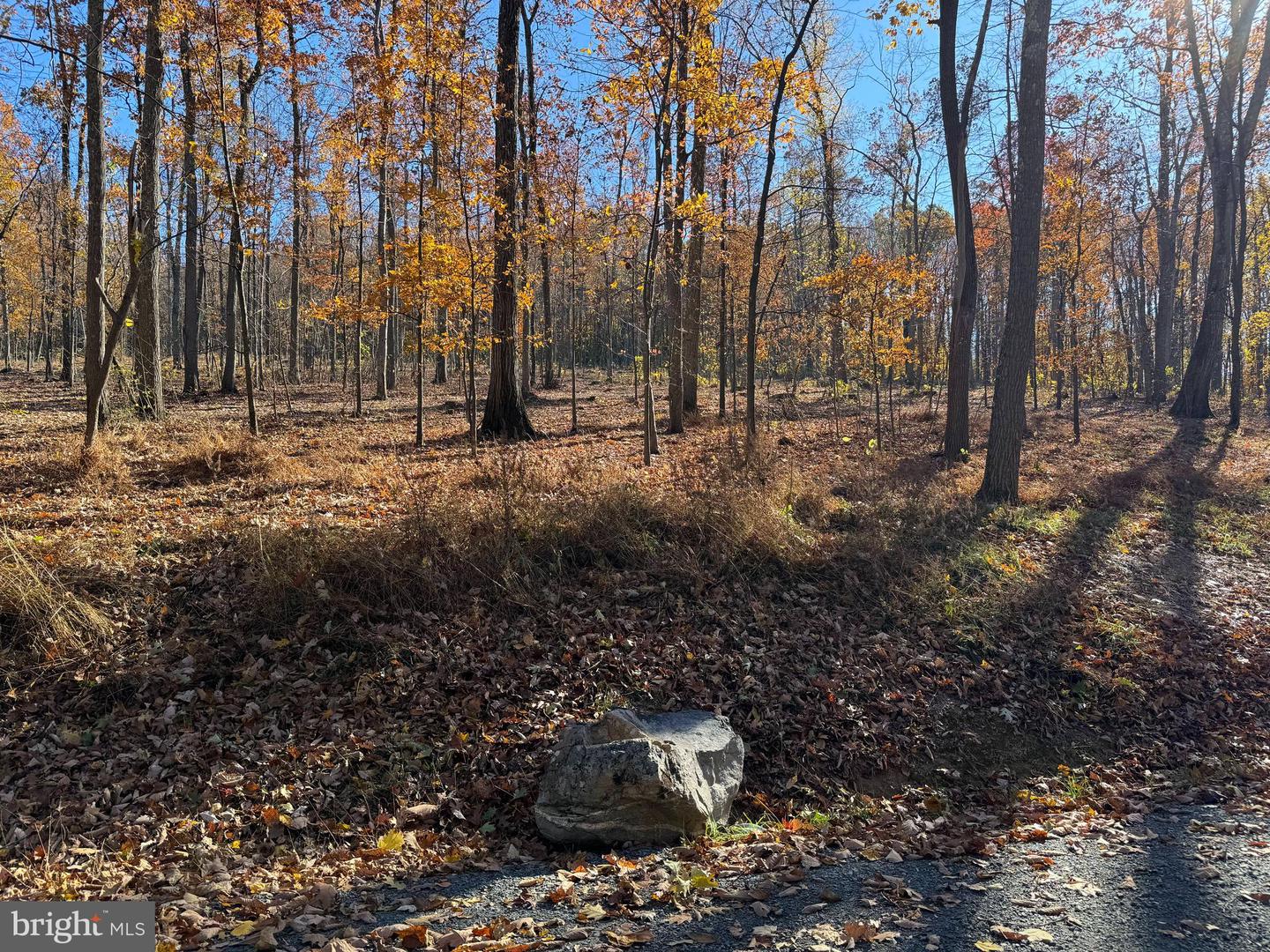 0 DIGGING BEAR LN, PURCELLVILLE, Virginia 20132, ,Land,For Sale,0 DIGGING BEAR LN,VALO2111588 MLS # VALO2111588 0 DIGGING BEAR LN, PURCELLVILLE, Virginia 20132, ,Land,For Sale,0 DIGGING BEAR LN,VALO2111588 MLS # VALO2111588