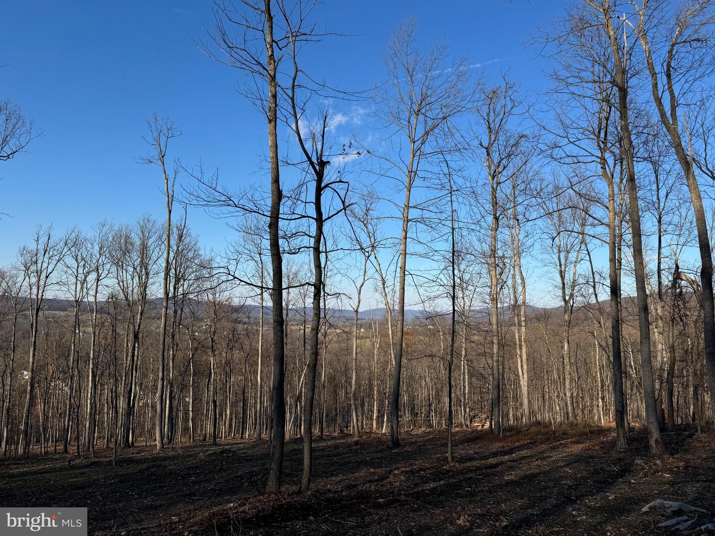 0 DIGGING BEAR LN, PURCELLVILLE, Virginia 20132, ,Land,For Sale,0 DIGGING BEAR LN,VALO2111588 MLS # VALO2111588 0 DIGGING BEAR LN, PURCELLVILLE, Virginia 20132, ,Land,For Sale,0 DIGGING BEAR LN,VALO2111588 MLS # VALO2111588