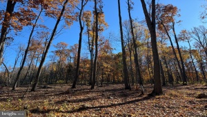 0 DIGGING BEAR LN PURCELLVILLE Virginia 20132