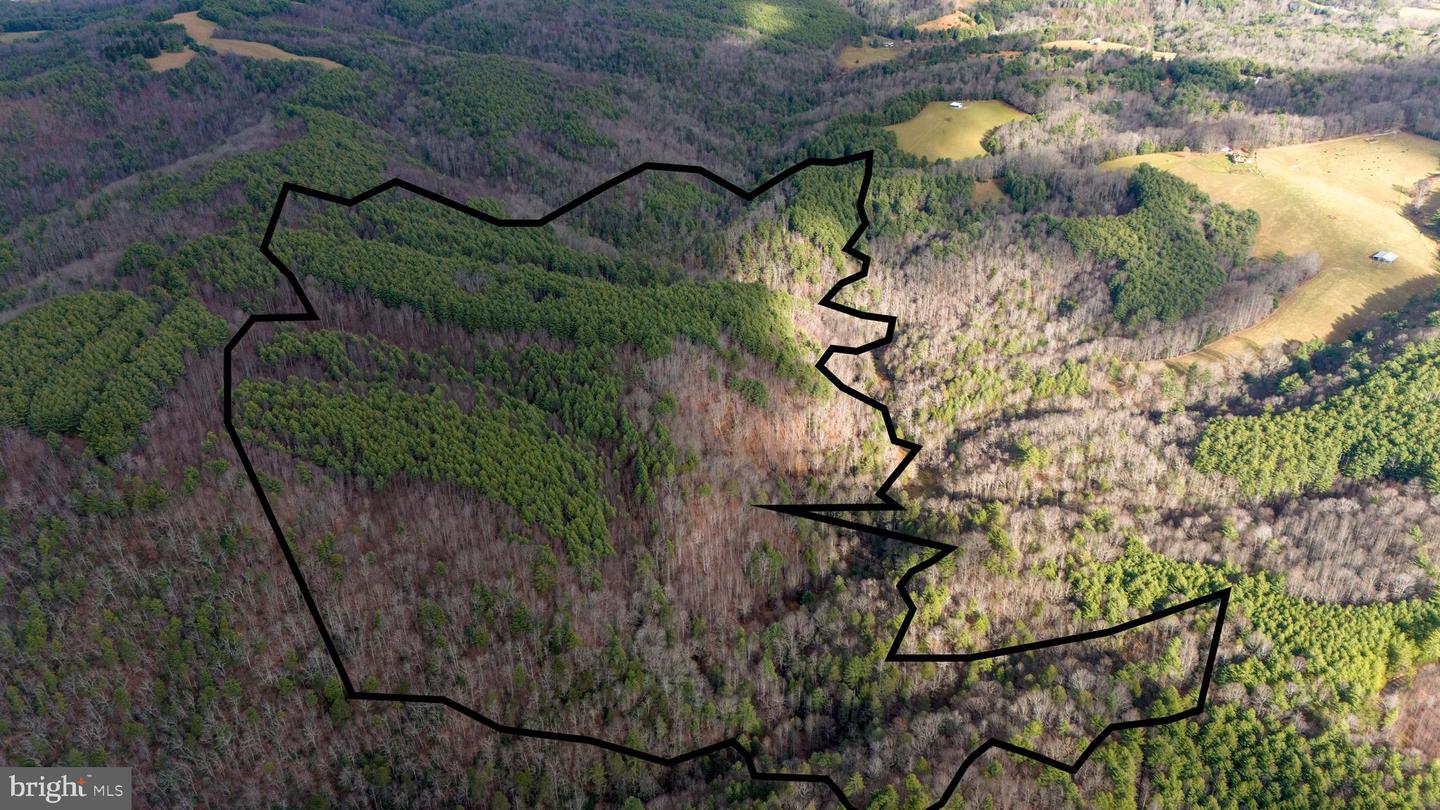 00 SAWMILL HILL RD, WILLIS, Virginia 24380, ,Farm,For Sale,00 SAWMILL HILL RD,VAFD2000018 MLS # VAFD2000018