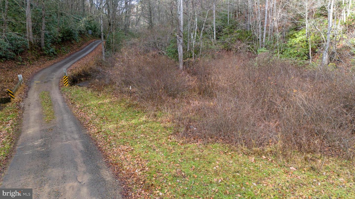 00 SAWMILL HILL RD, WILLIS, Virginia 24380, ,Farm,For Sale,00 SAWMILL HILL RD,VAFD2000018 MLS # VAFD2000018