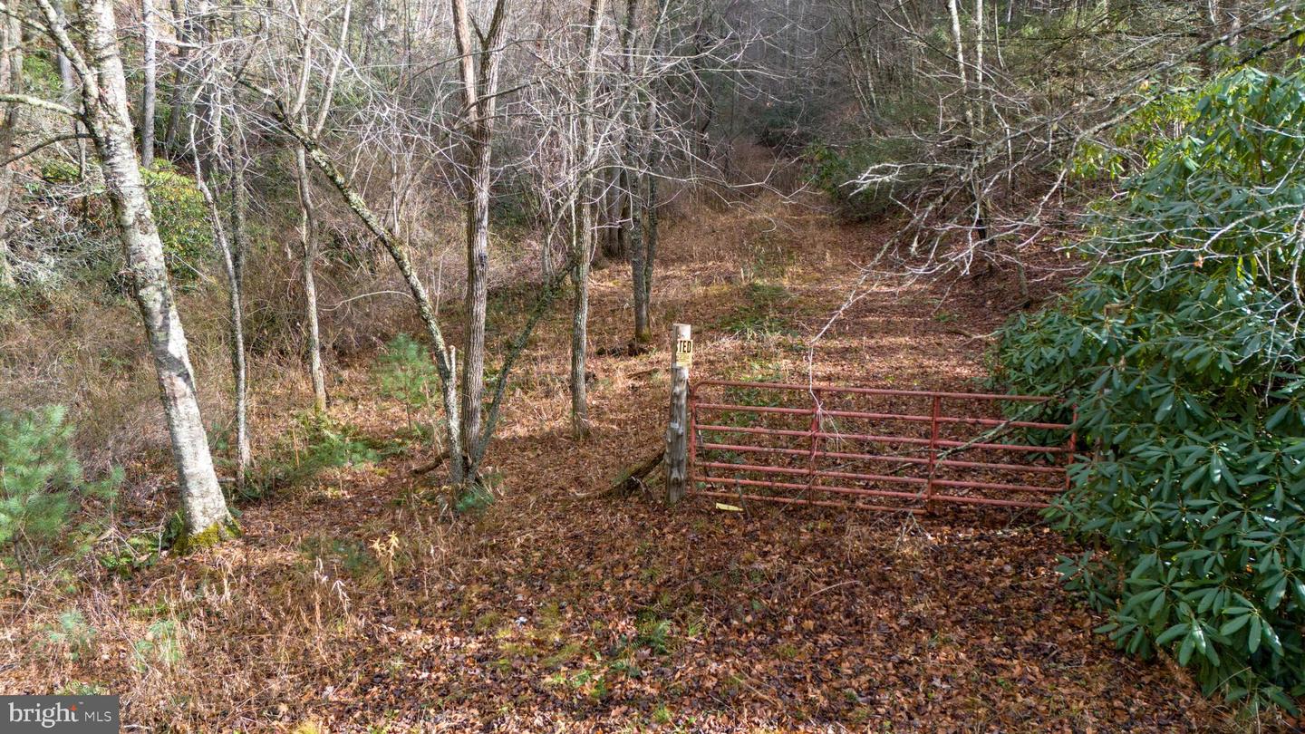 00 SAWMILL HILL RD, WILLIS, Virginia 24380, ,Farm,For Sale,00 SAWMILL HILL RD,VAFD2000018 MLS # VAFD2000018