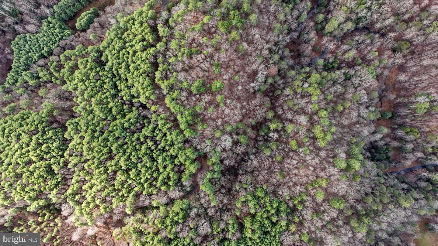 00 SAWMILL HILL RD, WILLIS, Virginia 24380, ,Farm,For Sale,00 SAWMILL HILL RD,VAFD2000018 MLS # VAFD2000018