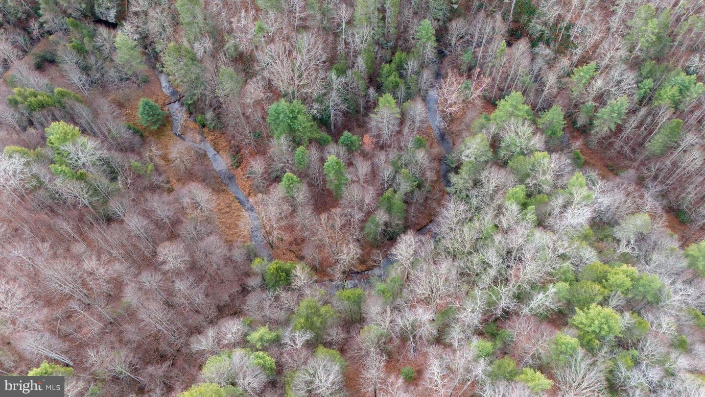 00 SAWMILL HILL RD, WILLIS, Virginia 24380, ,Farm,For Sale,00 SAWMILL HILL RD,VAFD2000018 MLS # VAFD2000018