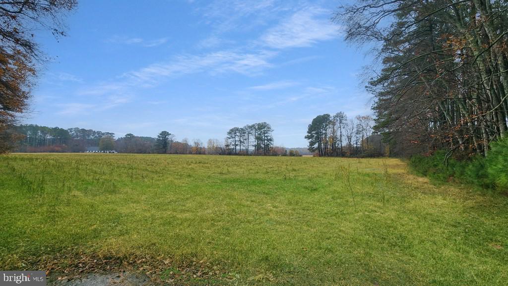 26355 MOUNT NEBO RD, ONANCOCK, Virginia 23417, 3 Bedrooms Bedrooms, ,2 BathroomsBathrooms,Residential,For Sale,26355 MOUNT NEBO RD,VAAC2002428 MLS # VAAC2002428