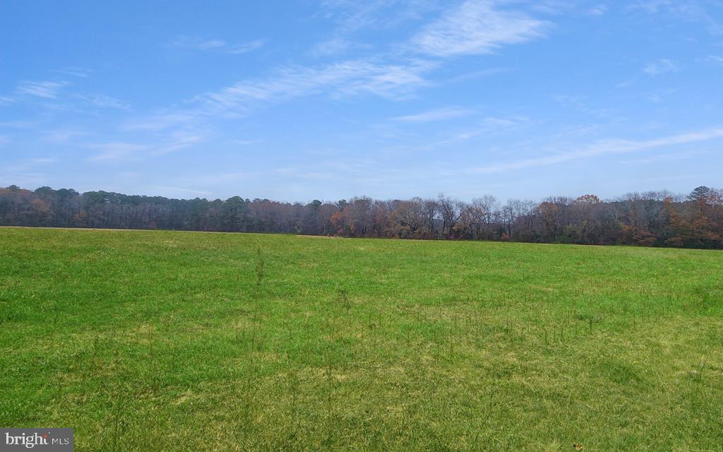 26355 MOUNT NEBO RD, ONANCOCK, Virginia 23417, 3 Bedrooms Bedrooms, ,2 BathroomsBathrooms,Residential,For Sale,26355 MOUNT NEBO RD,VAAC2002428 MLS # VAAC2002428