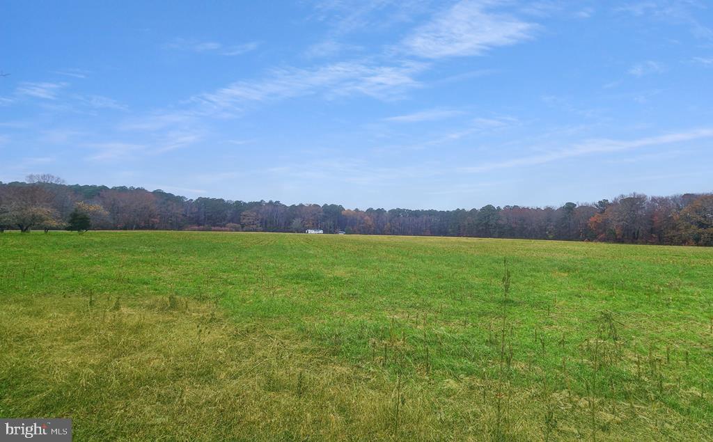 26355 MOUNT NEBO RD, ONANCOCK, Virginia 23417, 3 Bedrooms Bedrooms, ,2 BathroomsBathrooms,Residential,For Sale,26355 MOUNT NEBO RD,VAAC2002428 MLS # VAAC2002428