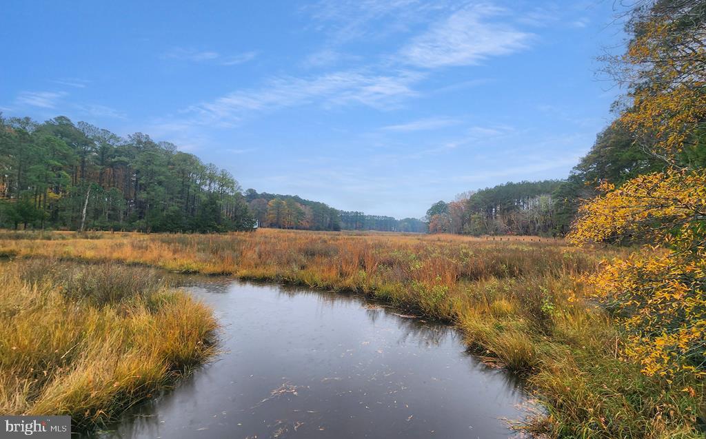 26355 MOUNT NEBO RD, ONANCOCK, Virginia 23417, 3 Bedrooms Bedrooms, ,2 BathroomsBathrooms,Residential,For Sale,26355 MOUNT NEBO RD,VAAC2002428 MLS # VAAC2002428