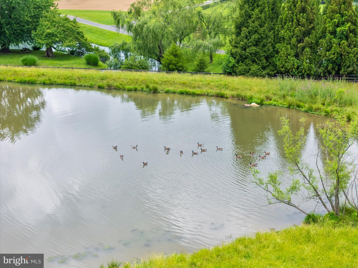 10674 ADA RD, MARSHALL, Virginia 20115, 1 Bedroom Bedrooms, ,1 BathroomBathrooms,Farm,For Sale,10674 ADA RD,VAFQ2016990 MLS # VAFQ2016990