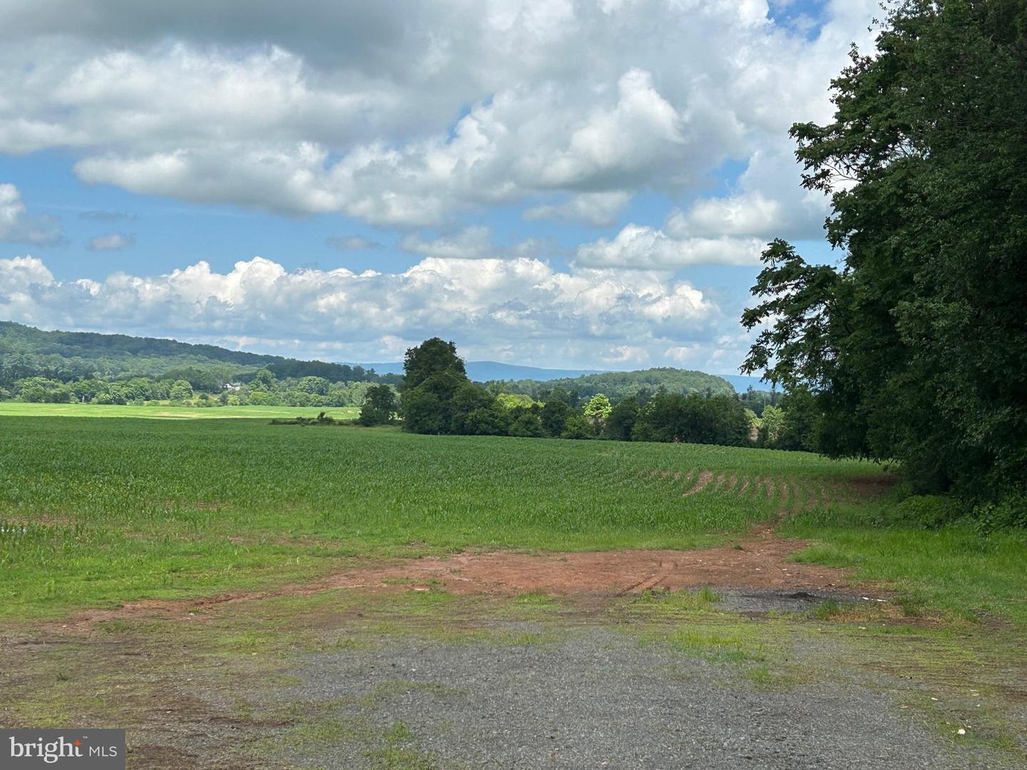 10674 ADA RD, MARSHALL, Virginia 20115, 1 Bedroom Bedrooms, ,1 BathroomBathrooms,Farm,For Sale,10674 ADA RD,VAFQ2016990 MLS # VAFQ2016990