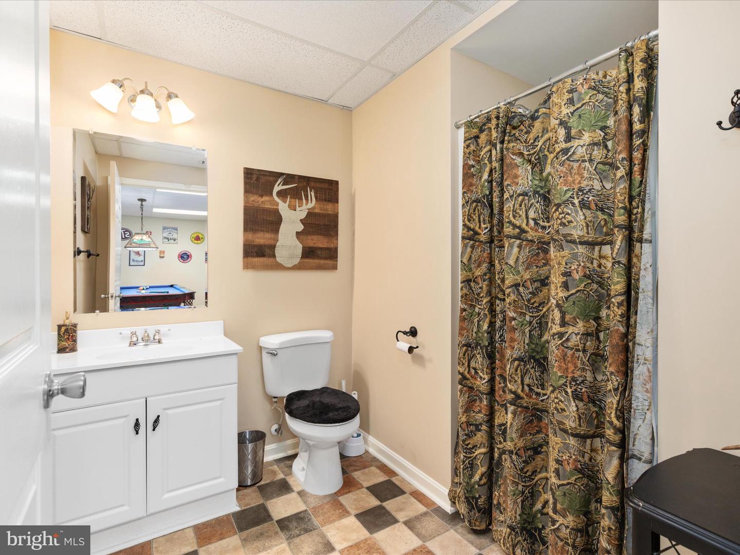 254 CARTE LN, MOUNT JACKSON, Virginia 22842, ,Farm,For Sale,254 CARTE LN,VASH2013128 MLS # VASH2013128