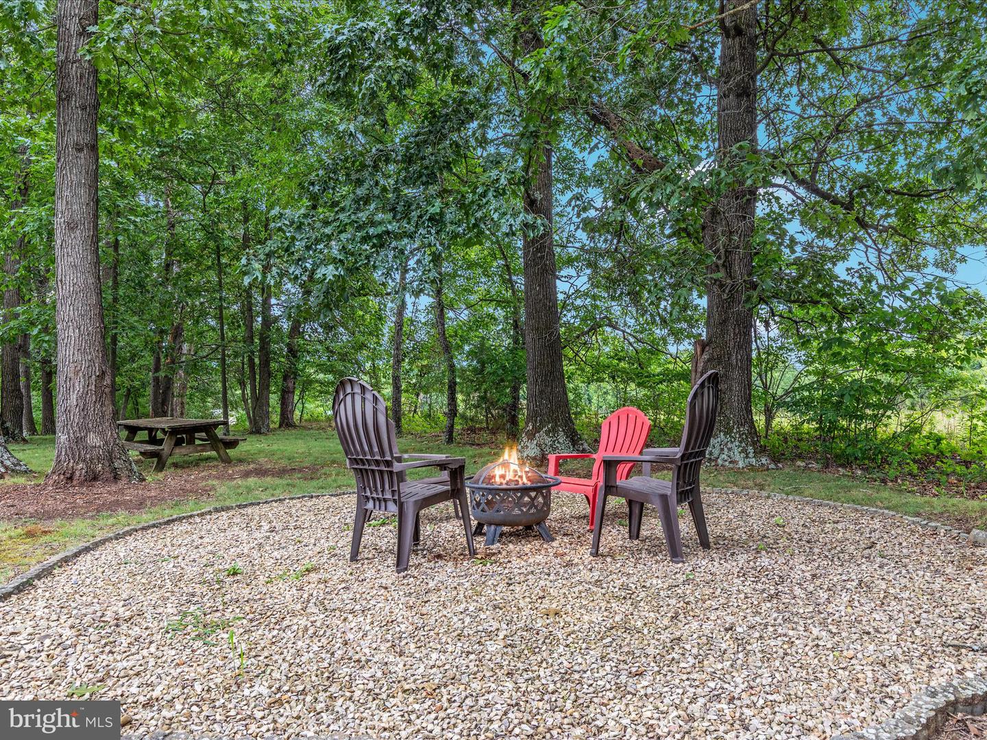 254 CARTE LN, MOUNT JACKSON, Virginia 22842, ,Farm,For Sale,254 CARTE LN,VASH2013128 MLS # VASH2013128