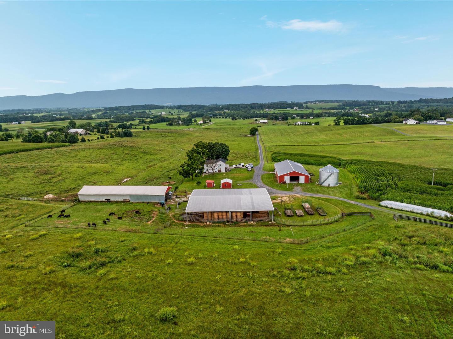 254 CARTE LN, MOUNT JACKSON, Virginia 22842, ,Farm,For Sale,254 CARTE LN,VASH2013128 MLS # VASH2013128