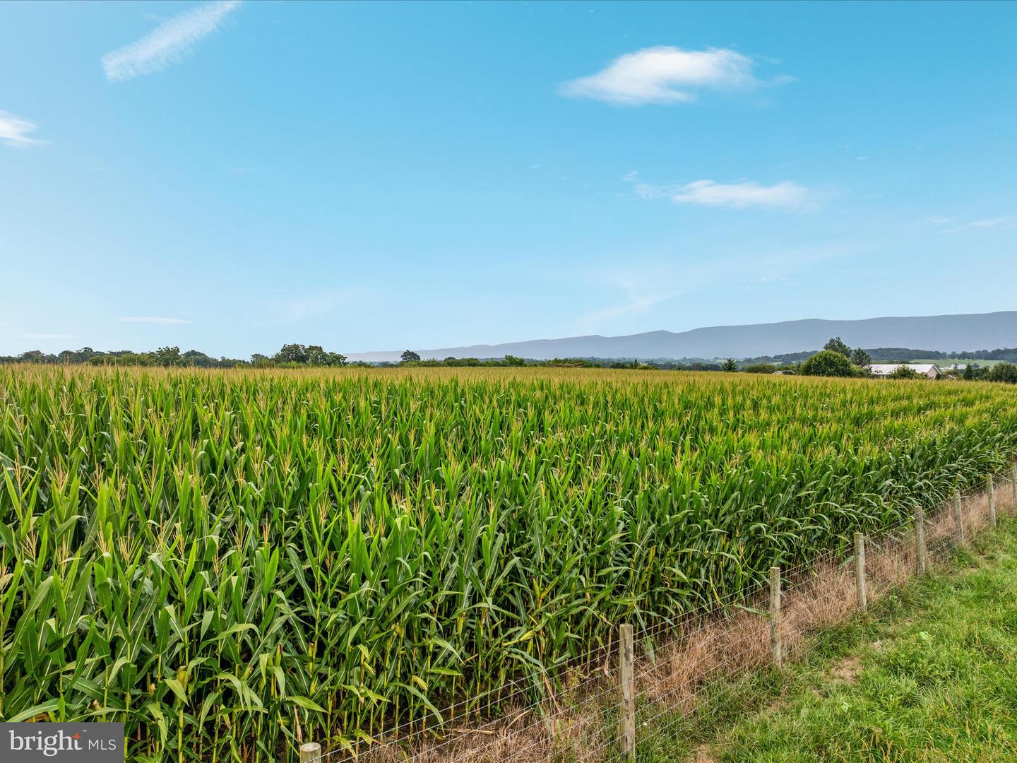 254 CARTE LN, MOUNT JACKSON, Virginia 22842, ,Farm,For Sale,254 CARTE LN,VASH2013128 MLS # VASH2013128