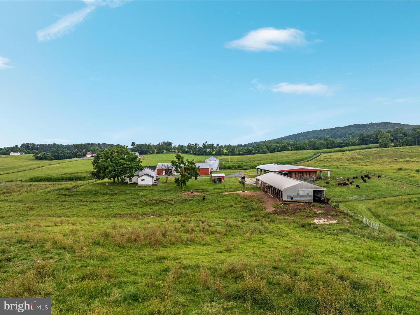 254 CARTE LN, MOUNT JACKSON, Virginia 22842, ,Farm,For Sale,254 CARTE LN,VASH2013128 MLS # VASH2013128