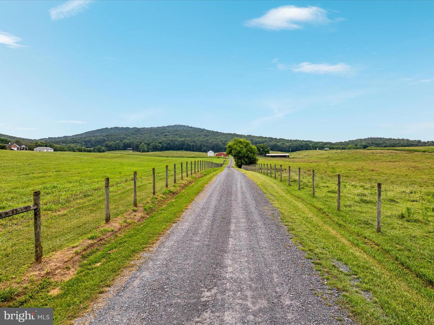 254 CARTE LN, MOUNT JACKSON, Virginia 22842, ,Farm,For Sale,254 CARTE LN,VASH2013128 MLS # VASH2013128