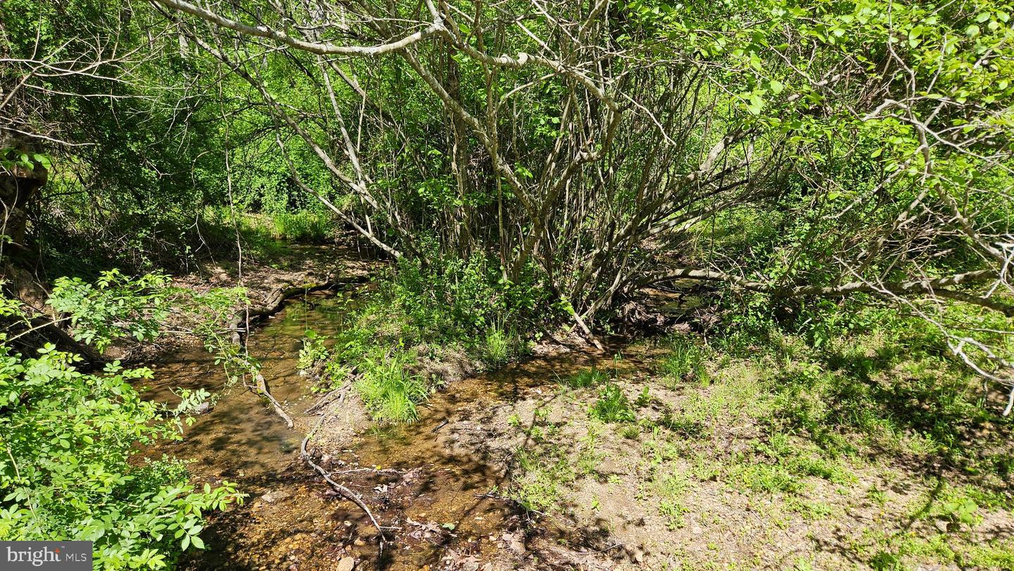 559 BESSIE BELL MOUNTAIN RD, CASTLETON, Virginia 22716, 3 Bedrooms Bedrooms, ,2 BathroomsBathrooms,Residential,For Sale,559 BESSIE BELL MOUNTAIN RD,VARP2002080 MLS # VARP2002080 559 BESSIE BELL MOUNTAIN RD, CASTLETON, Virginia 22716, 3 Bedrooms Bedrooms, ,2 BathroomsBathrooms,Residential,For Sale,559 BESSIE BELL MOUNTAIN RD,VARP2002080 MLS # VARP2002080