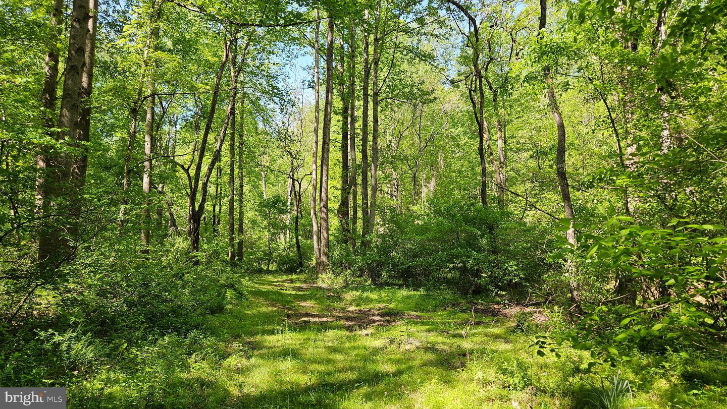 559 BESSIE BELL MOUNTAIN RD, CASTLETON, Virginia 22716, 3 Bedrooms Bedrooms, ,2 BathroomsBathrooms,Residential,For Sale,559 BESSIE BELL MOUNTAIN RD,VARP2002080 MLS # VARP2002080 559 BESSIE BELL MOUNTAIN RD, CASTLETON, Virginia 22716, 3 Bedrooms Bedrooms, ,2 BathroomsBathrooms,Residential,For Sale,559 BESSIE BELL MOUNTAIN RD,VARP2002080 MLS # VARP2002080