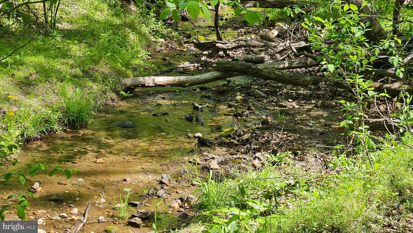 559 BESSIE BELL MOUNTAIN RD, CASTLETON, Virginia 22716, 3 Bedrooms Bedrooms, ,2 BathroomsBathrooms,Residential,For Sale,559 BESSIE BELL MOUNTAIN RD,VARP2002080 MLS # VARP2002080 559 BESSIE BELL MOUNTAIN RD, CASTLETON, Virginia 22716, 3 Bedrooms Bedrooms, ,2 BathroomsBathrooms,Residential,For Sale,559 BESSIE BELL MOUNTAIN RD,VARP2002080 MLS # VARP2002080