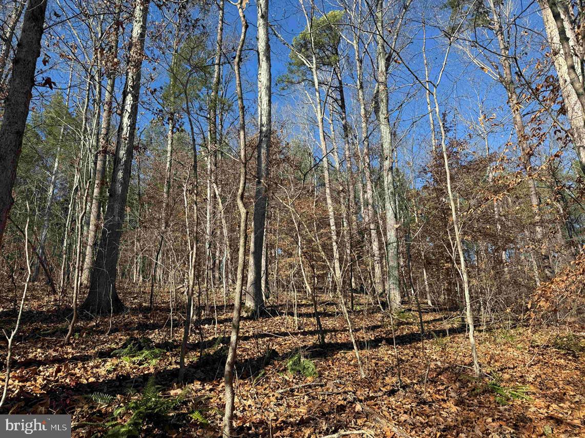 OFF OF DIANA MILL ROAD (TRACT: TANAGER ET2 2023, ARVONIA, Virginia 23004, ,Farm,For Sale,OFF OF DIANA MILL ROAD (TRACT: TANAGER ET2 2023,VABH2000246 MLS # VABH2000246