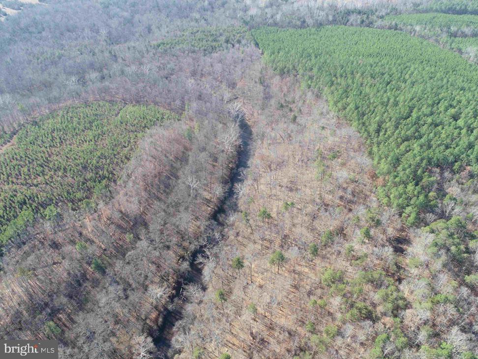 OFF OF DIANA MILL ROAD (TRACT: TANAGER ET2 2023, ARVONIA, Virginia 23004, ,Farm,For Sale,OFF OF DIANA MILL ROAD (TRACT: TANAGER ET2 2023,VABH2000246 MLS # VABH2000246