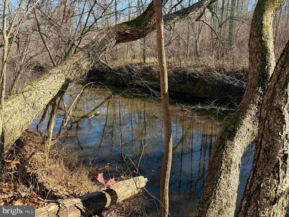 OFF OF DIANA MILL ROAD (TRACT: TANAGER ET2 2023, ARVONIA, Virginia 23004, ,Farm,For Sale,OFF OF DIANA MILL ROAD (TRACT: TANAGER ET2 2023,VABH2000246 MLS # VABH2000246