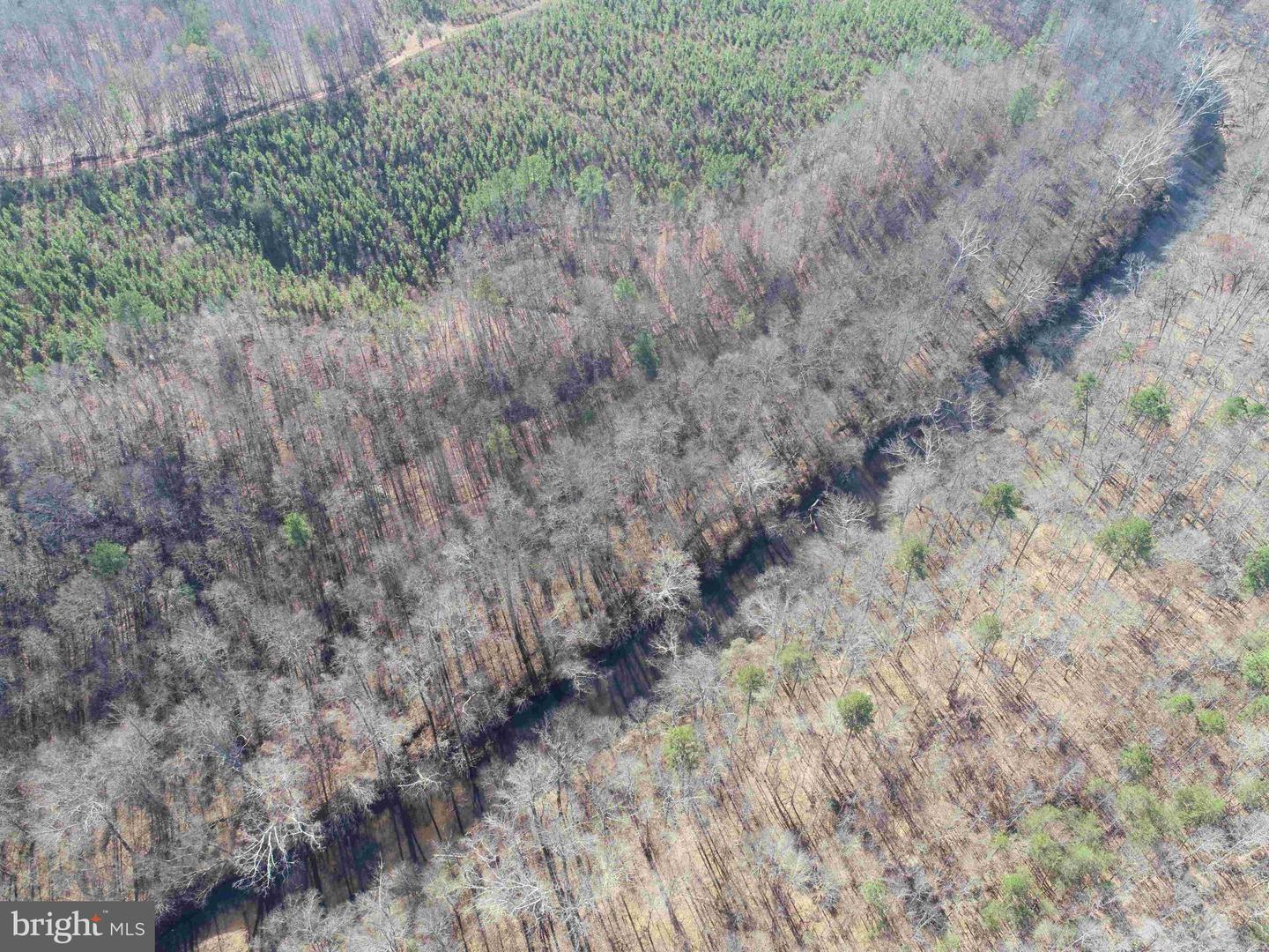 OFF OF DIANA MILL ROAD (TRACT: TANAGER ET2 2023, ARVONIA, Virginia 23004, ,Farm,For Sale,OFF OF DIANA MILL ROAD (TRACT: TANAGER ET2 2023,VABH2000246 MLS # VABH2000246