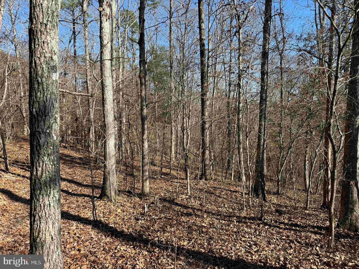 OFF OF DIANA MILL ROAD (TRACT: TANAGER ET2 2023, ARVONIA, Virginia 23004, ,Farm,For Sale,OFF OF DIANA MILL ROAD (TRACT: TANAGER ET2 2023,VABH2000246 MLS # VABH2000246