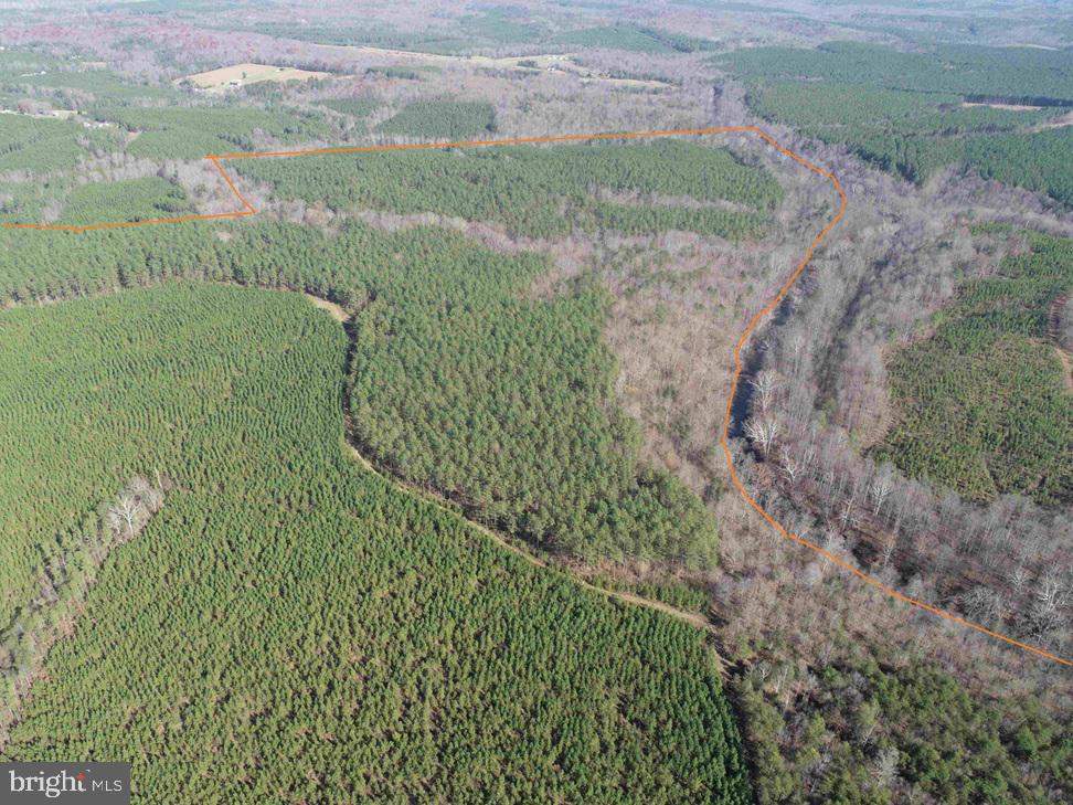 OFF OF DIANA MILL ROAD (TRACT: TANAGER ET2 2023, ARVONIA, Virginia 23004, ,Farm,For Sale,OFF OF DIANA MILL ROAD (TRACT: TANAGER ET2 2023,VABH2000246 MLS # VABH2000246