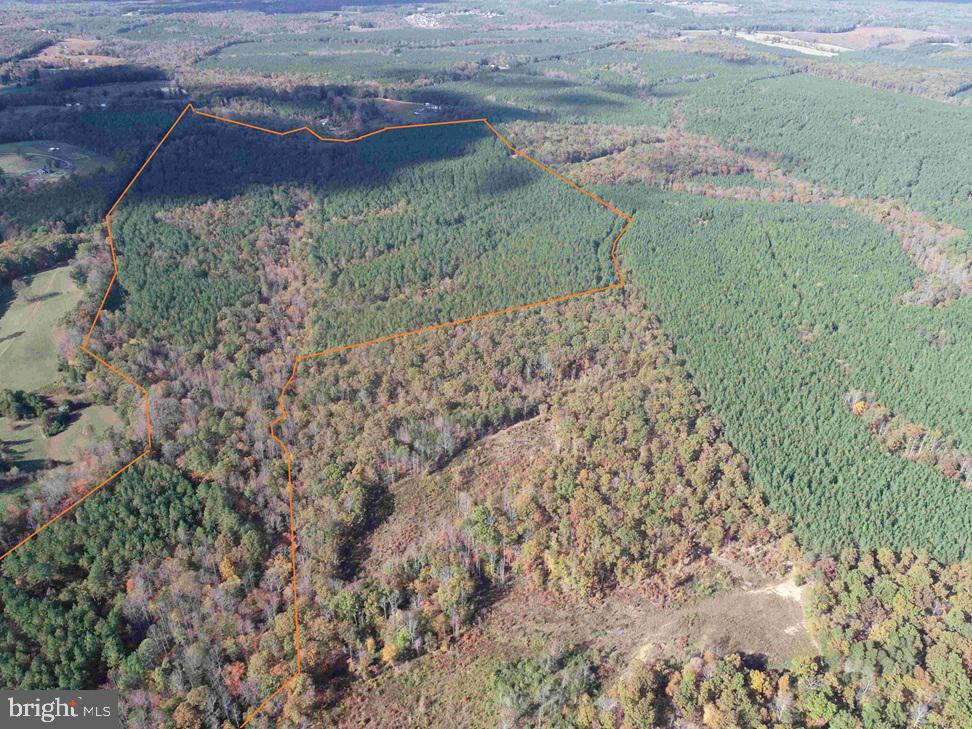 OFF OF SHORES ROAD (TRACT: TANAGER ET2 2020), SCOTTSVILLE, Virginia 24590, ,Farm,For Sale,OFF OF SHORES ROAD (TRACT: TANAGER ET2 2020),VAFN2000552 MLS # VAFN2000552