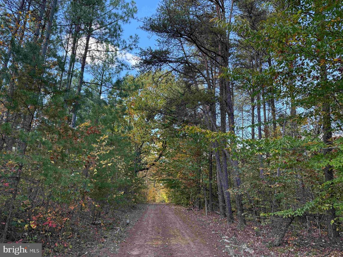 OFF OF SHORES ROAD (TRACT: TANAGER ET2 2020), SCOTTSVILLE, Virginia 24590, ,Farm,For Sale,OFF OF SHORES ROAD (TRACT: TANAGER ET2 2020),VAFN2000552 MLS # VAFN2000552