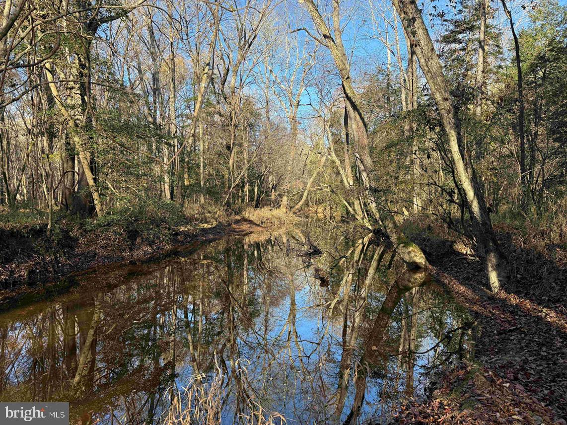 SLAGLES LAKE ROAD (TRACT: CHESAPEAKE GEORGE RAE), EMPORIA, Virginia 23847, ,Farm,For Sale,SLAGLES LAKE ROAD (TRACT: CHESAPEAKE GEORGE RAE),VAGE2000022 MLS # VAGE2000022