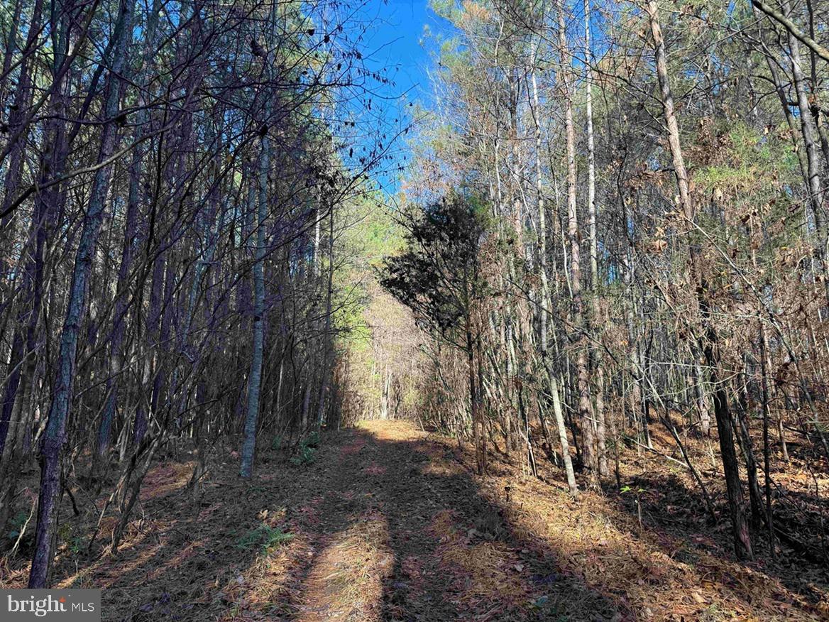 SLAGLES LAKE ROAD (TRACT: CHESAPEAKE GEORGE RAE), EMPORIA, Virginia 23847, ,Farm,For Sale,SLAGLES LAKE ROAD (TRACT: CHESAPEAKE GEORGE RAE),VAGE2000022 MLS # VAGE2000022