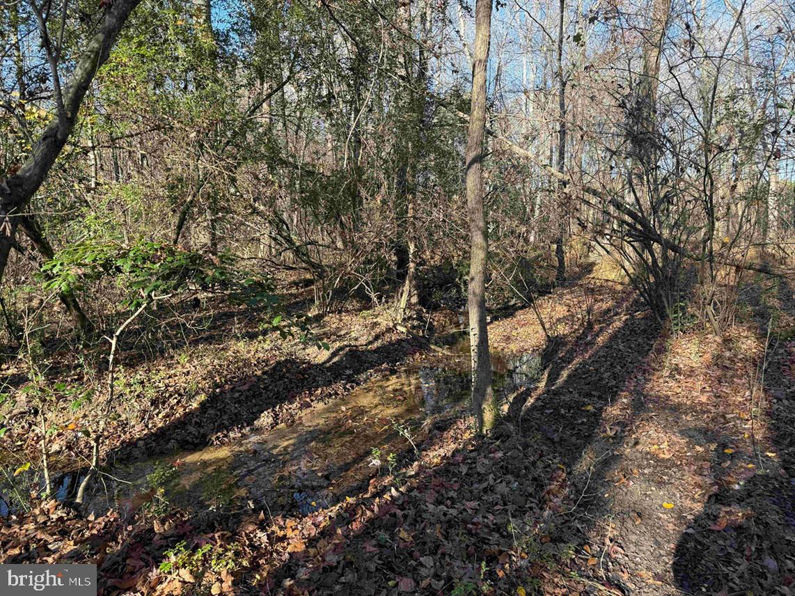 SLAGLES LAKE ROAD (TRACT: CHESAPEAKE GEORGE RAE), EMPORIA, Virginia 23847, ,Farm,For Sale,SLAGLES LAKE ROAD (TRACT: CHESAPEAKE GEORGE RAE),VAGE2000022 MLS # VAGE2000022