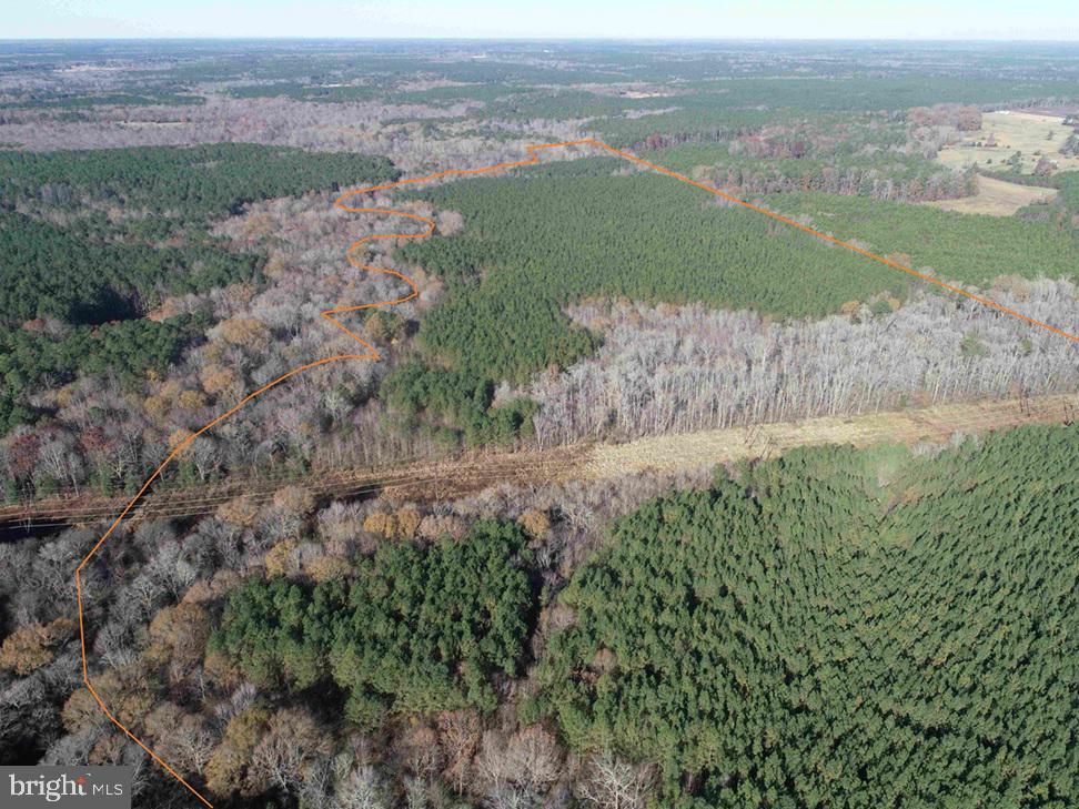 SLAGLES LAKE ROAD (TRACT: CHESAPEAKE GEORGE RAE), EMPORIA, Virginia 23847, ,Farm,For Sale,SLAGLES LAKE ROAD (TRACT: CHESAPEAKE GEORGE RAE),VAGE2000022 MLS # VAGE2000022