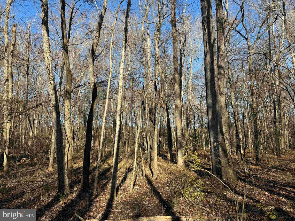 SLAGLES LAKE ROAD (TRACT: CHESAPEAKE GEORGE RAE), EMPORIA, Virginia 23847, ,Farm,For Sale,SLAGLES LAKE ROAD (TRACT: CHESAPEAKE GEORGE RAE),VAGE2000022 MLS # VAGE2000022