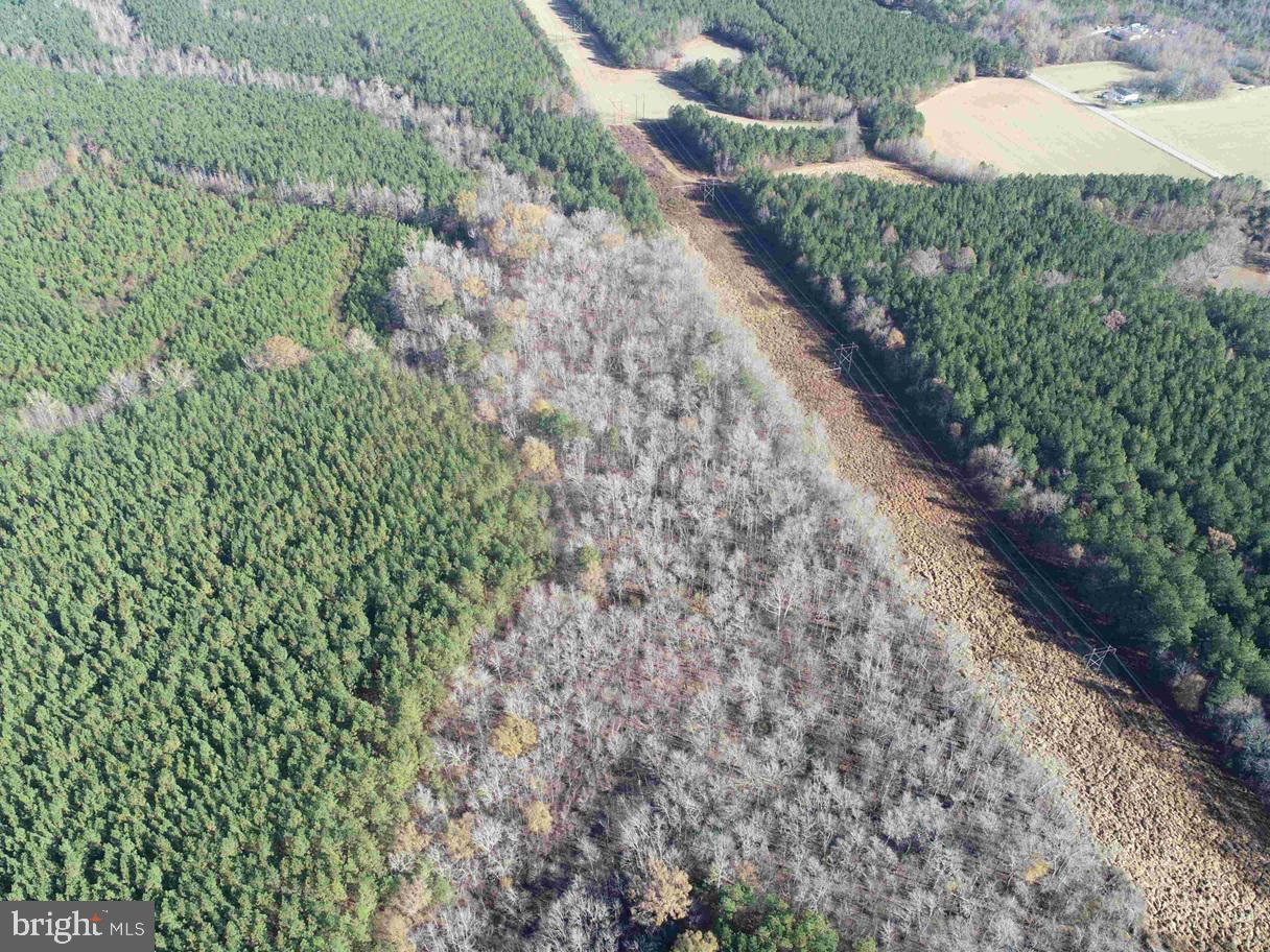 SLAGLES LAKE ROAD (TRACT: CHESAPEAKE GEORGE RAE), EMPORIA, Virginia 23847, ,Farm,For Sale,SLAGLES LAKE ROAD (TRACT: CHESAPEAKE GEORGE RAE),VAGE2000022 MLS # VAGE2000022