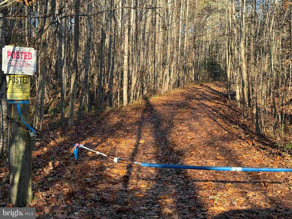 SLAGLES LAKE ROAD (TRACT: CHESAPEAKE GEORGE RAE), EMPORIA, Virginia 23847, ,Farm,For Sale,SLAGLES LAKE ROAD (TRACT: CHESAPEAKE GEORGE RAE),VAGE2000022 MLS # VAGE2000022